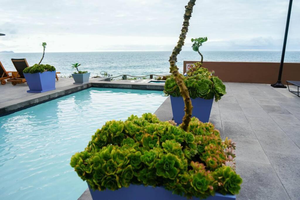 Hotel Suite Luxe Sunset Τιχουάνα Εξωτερικό φωτογραφία
